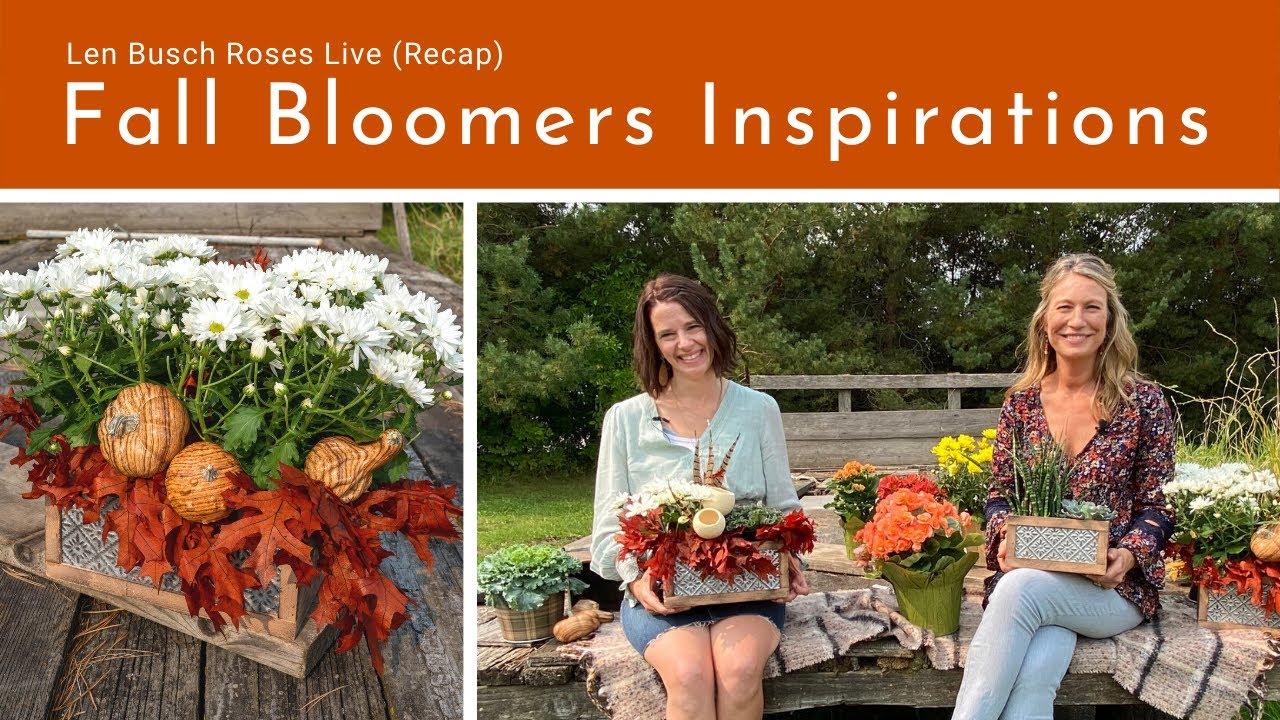 LBR Live (Replay): Locally Grown Fall Bloomers
