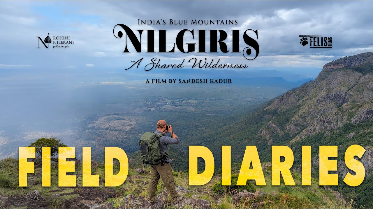 Field Diaries: Nilgiris - A Shared Wilderness