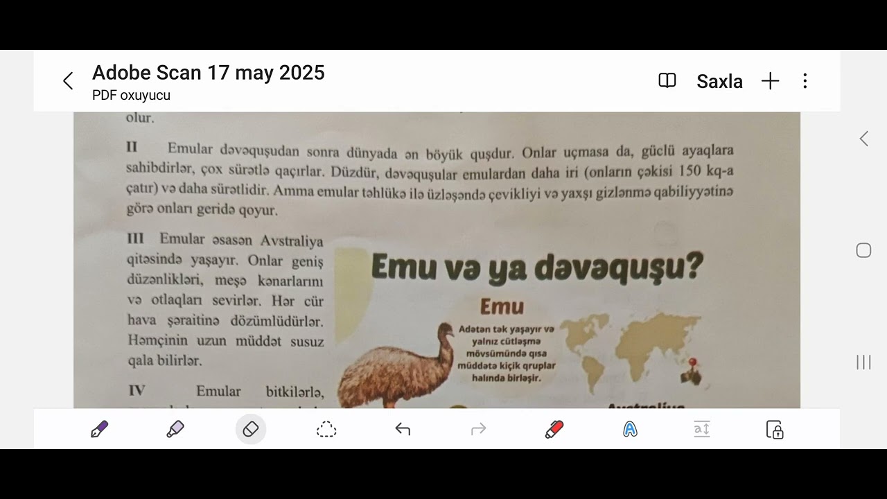 17 may 2025 4-cü sinif monitorinq Azərbaycan dili sualları.  B variantı 30 sual