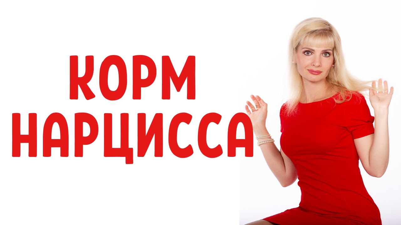 Нарциссический корм / Виды 