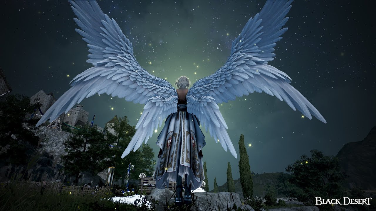 BDO Seraph PVP Montage #1