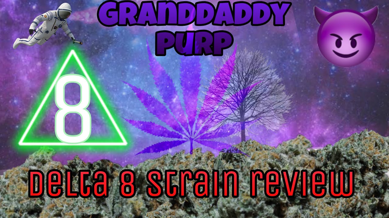 GRANDDADDY PURP DELTA 8 STRAIN REVIEW