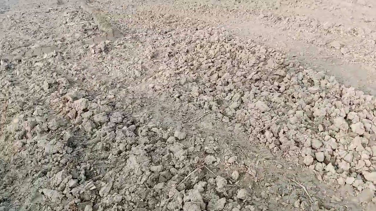 জমি বিক্রি করা হবে 60 হাজার টাকা শতাংশ হেমায়েতপুর সিংগাইর ঢাকা 01614298667
