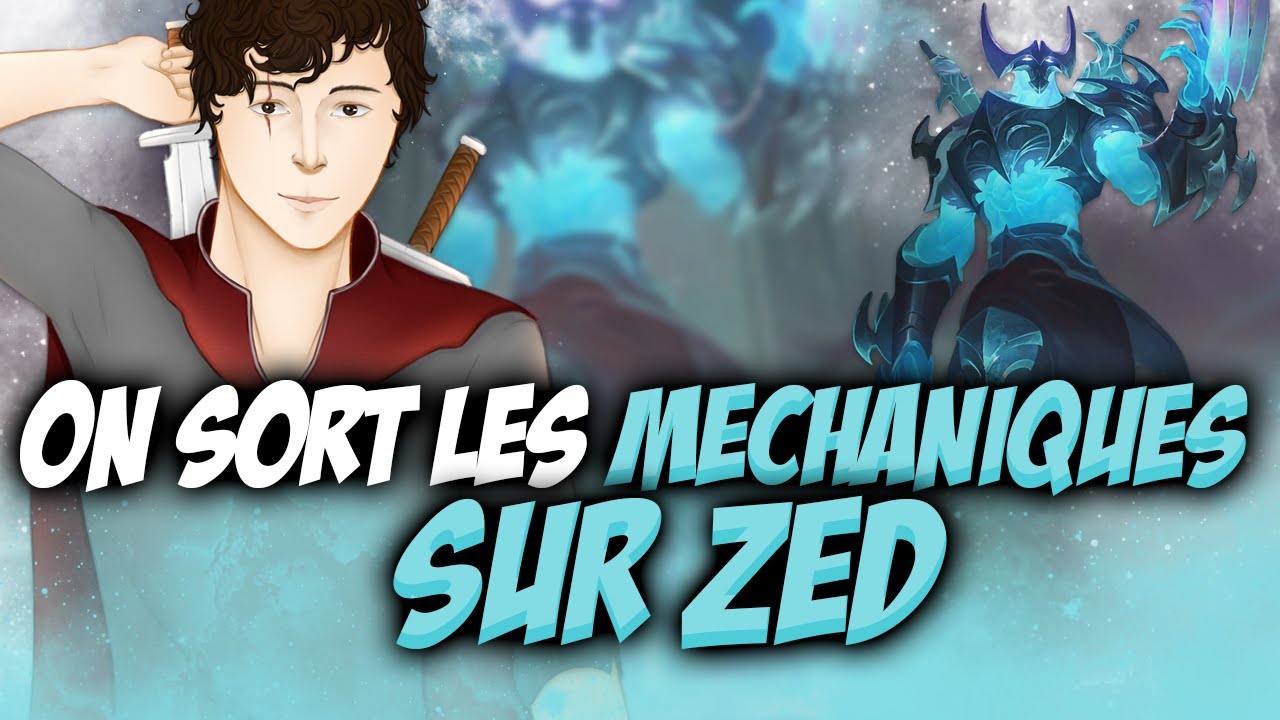 CONNAISSEZ VOUS MON ZED ? VOUS ALLEZ VOUS EN SOUVENIR