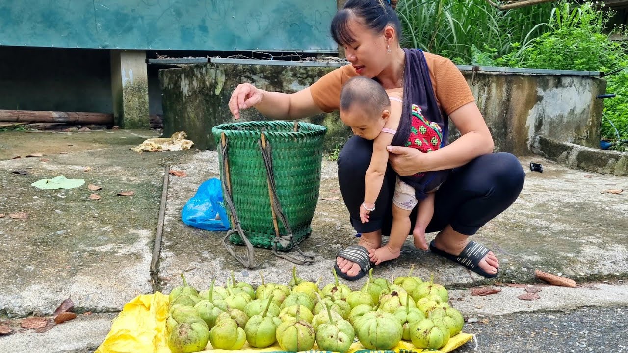 FULL VIDEO 120 DAYS with my daughter Harvesting a giant eggplant garden to sell at the market