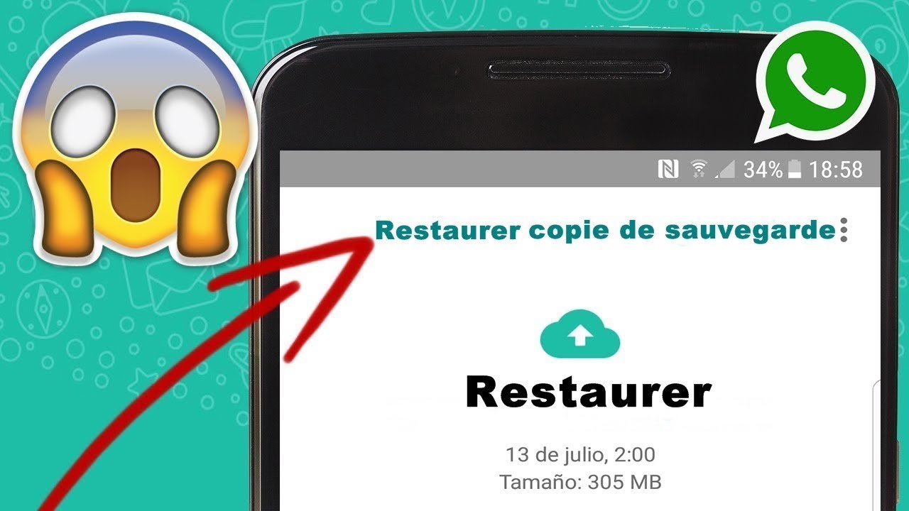 Récupérer Conversation WhatsApp Sans Sauvegarde| Sauvegarde WhatsApp sur Android en 2022