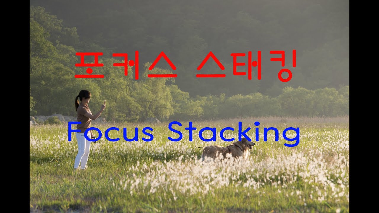 포커스 스태킹( Focus stacking)
