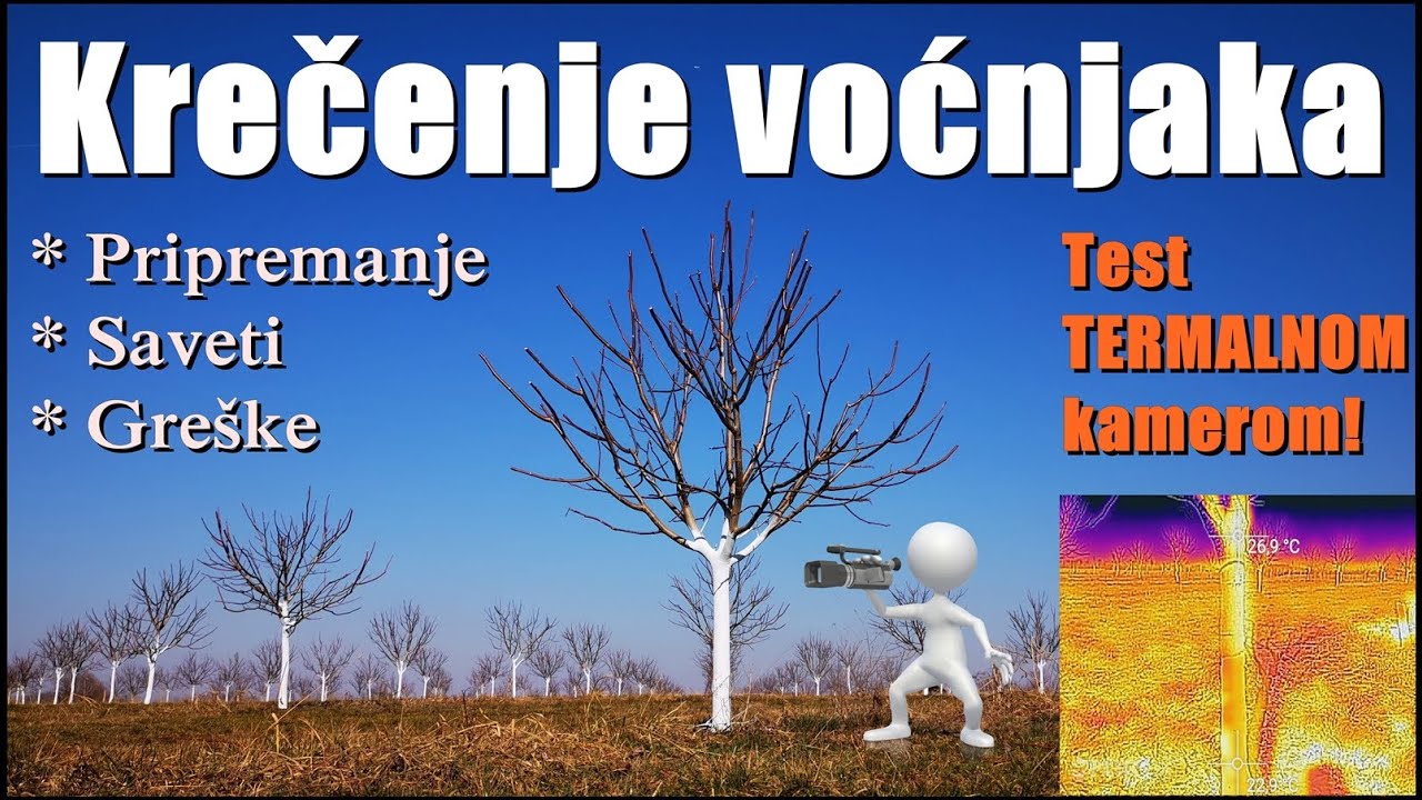 Krečenje stabla voća - Test termalnom kamerom! * White Washing a Tree Trunk - Thermal Camera Test!