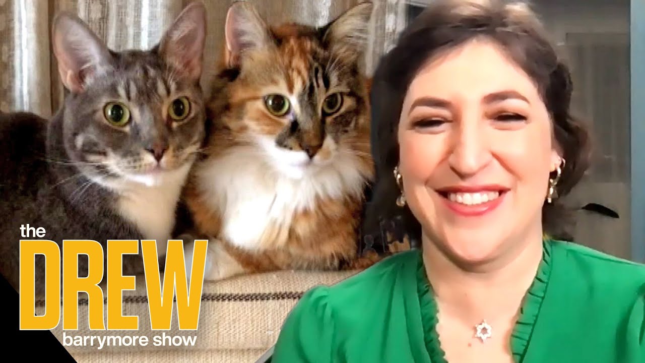 Drew Brings Mayim Bialik a Virtual Cat Cafe After COVID-19 Spoiled Her Dreams of Visiting