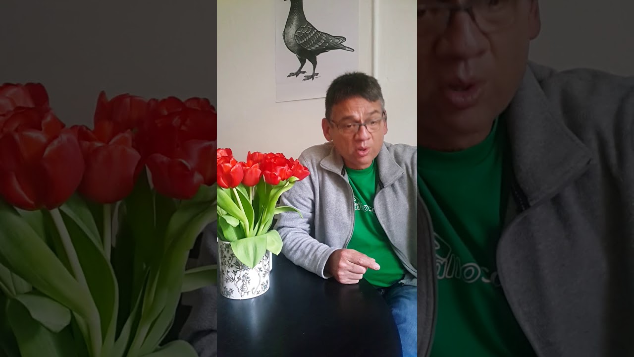 Mi caballo no quiere comer. Dr. Carlos Federico Rodríguez Garantón @Caallosalud Alemania