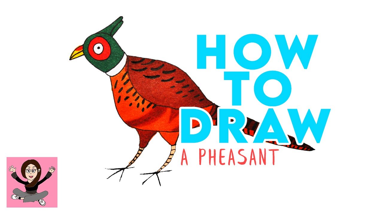 How to Draw A PHEASANT / Easy step by step