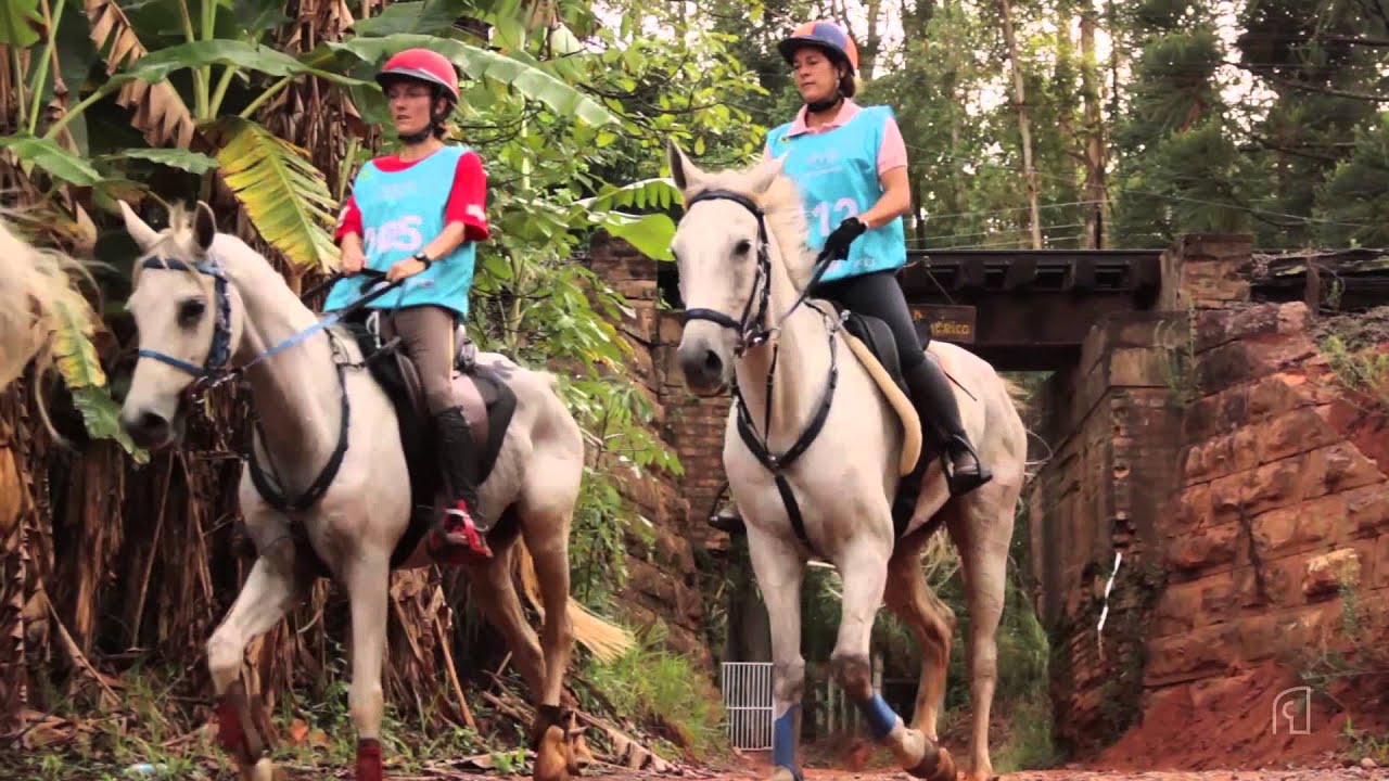 Copa Chevaux - Final