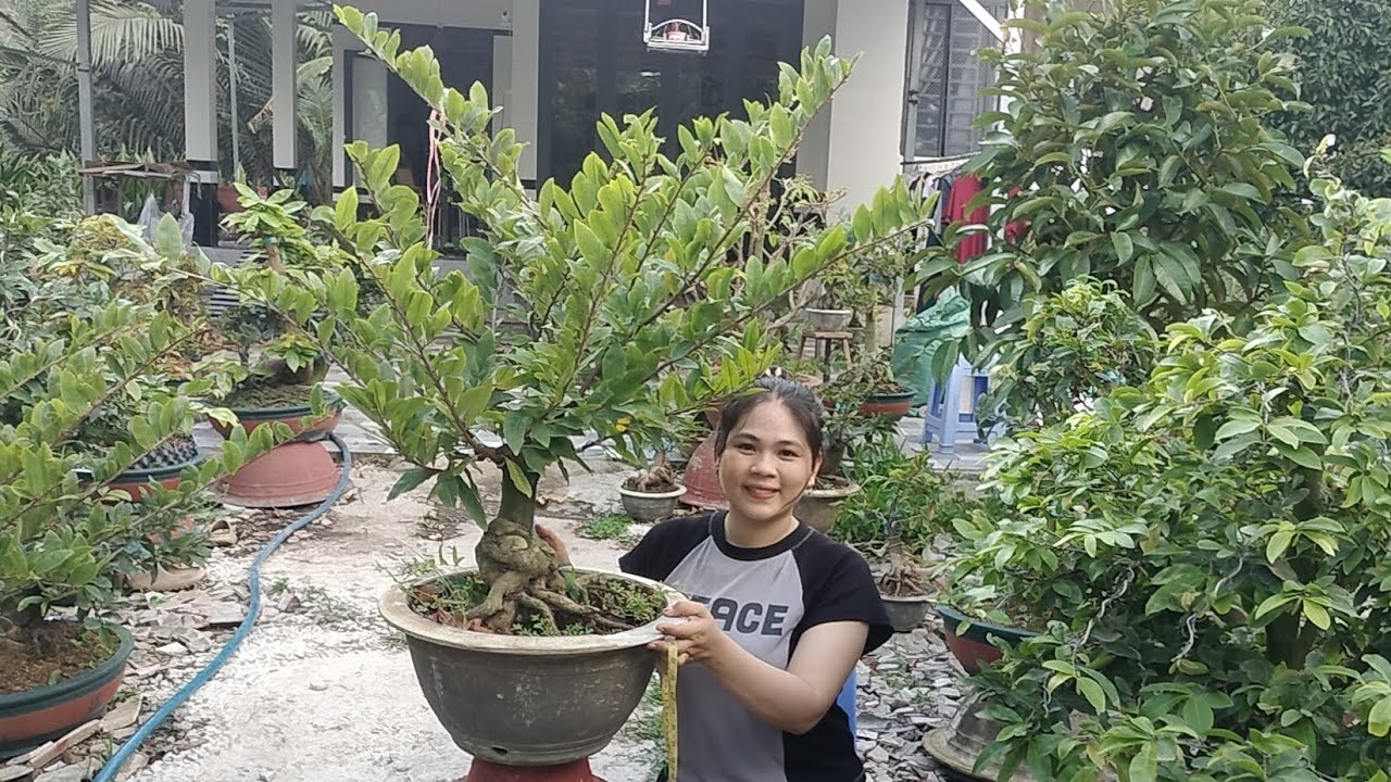 4/3/2026 xã rẻ lô Giảo như ý lấy nhiều bo giá rẻ ☎0939099607 Thúy Hằng