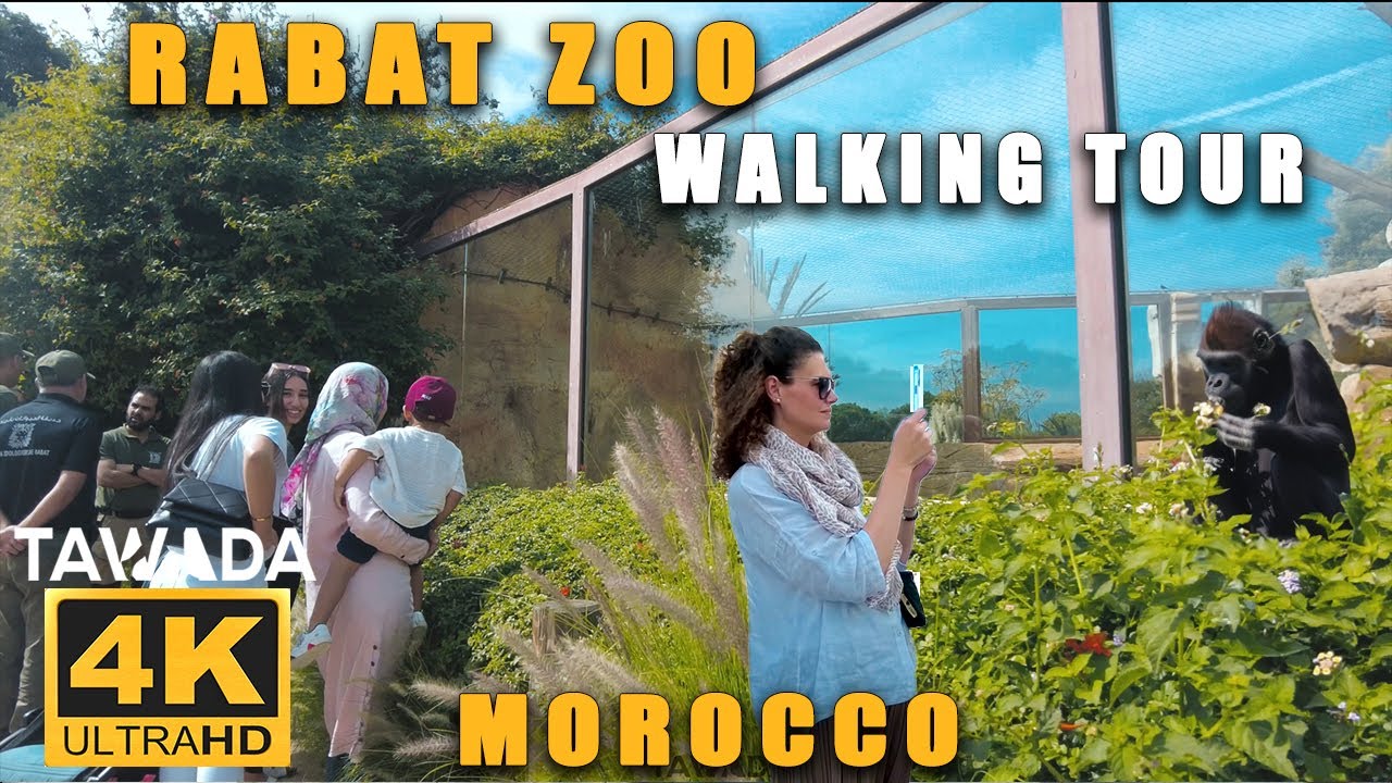 RABAT Zoo 2023 Walking tour - Morocco 🇲🇦 4K UHD