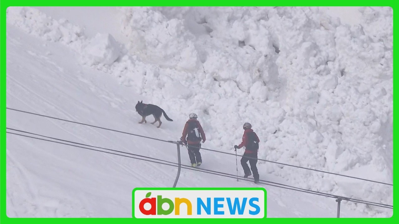 発生から一夜明けて…4人負傷のスキー場雪崩 警察・消防などが現地調査(abnニュース　2026.03.01）