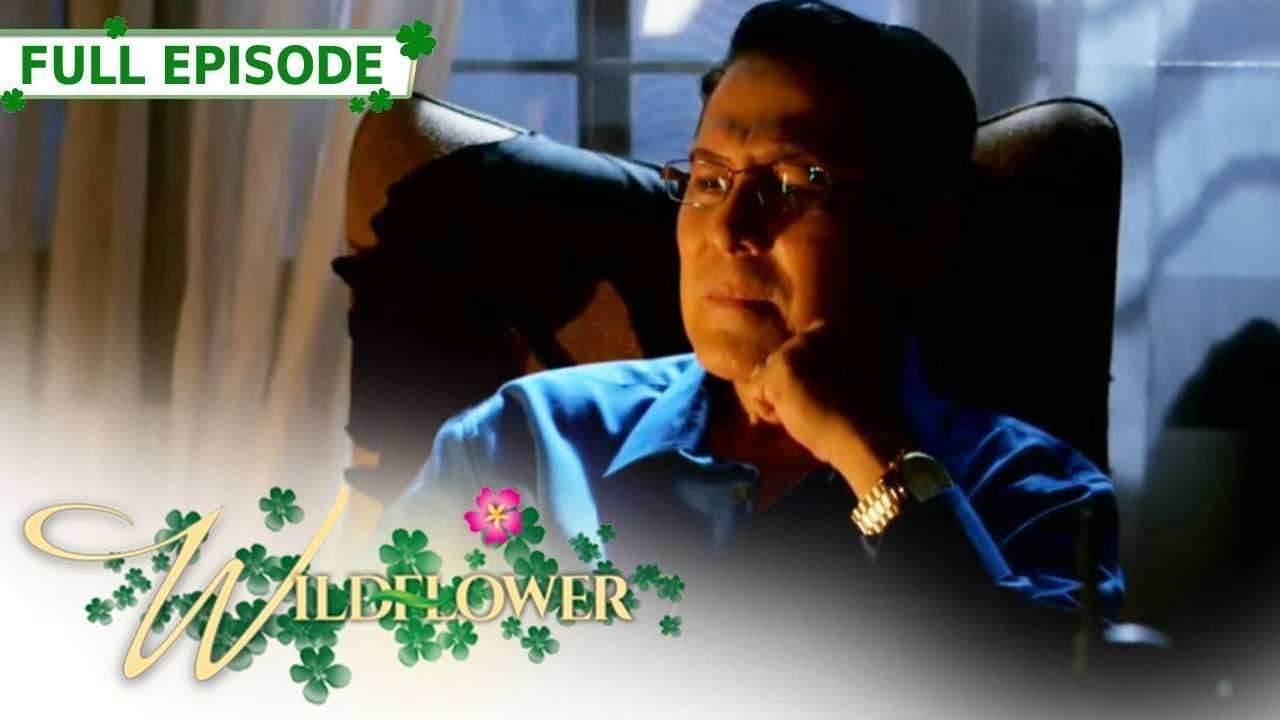 Full Episode 151 | Wildflower with ENG SUB | Maja Salvador, Joseph Marco, RK Bagatsing