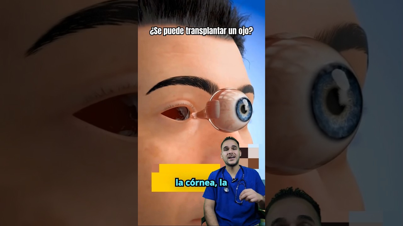 ¿Una persona ciega puede recuperar la visión?