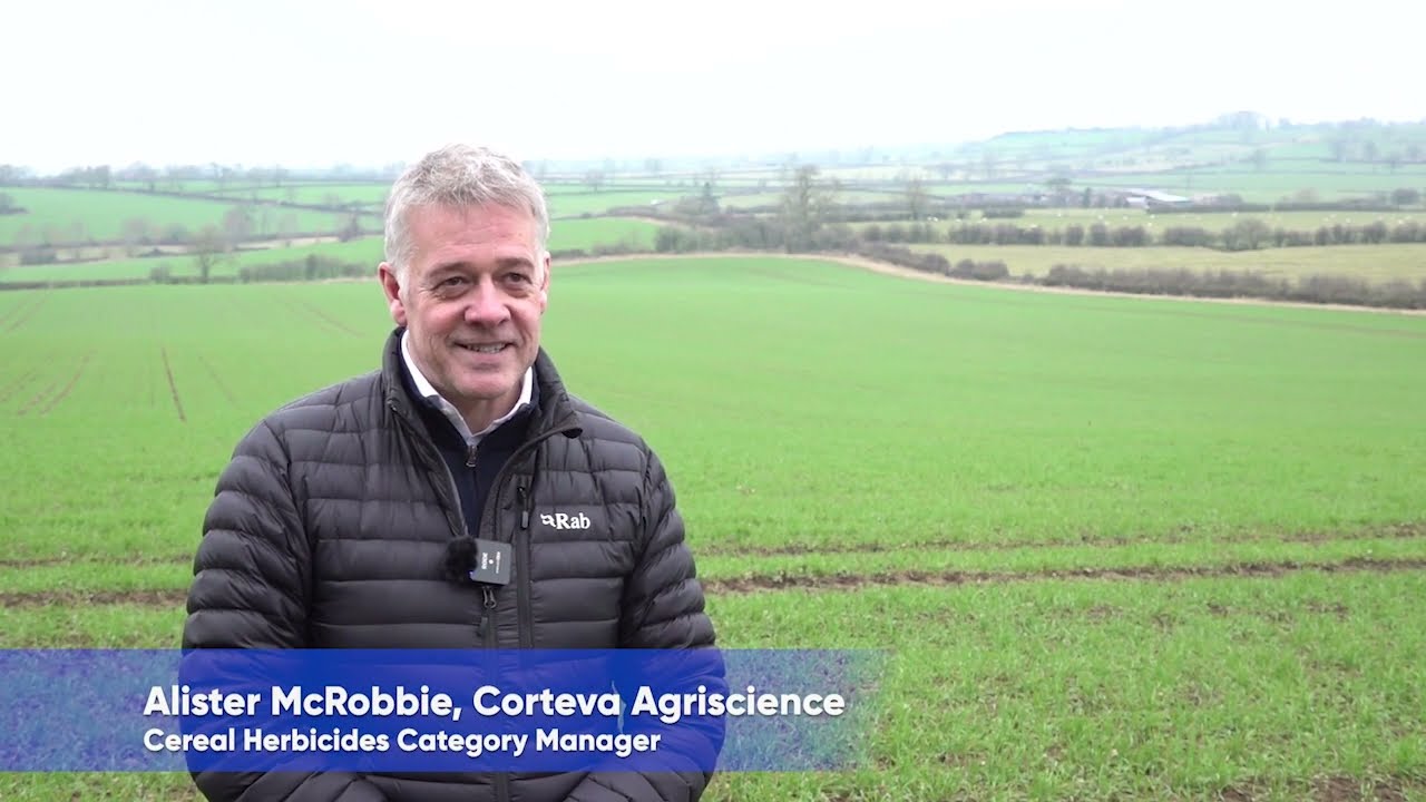 Spring weed control in winter wheat with Broadway&reg; Star (pyroxsulam + florasulam)