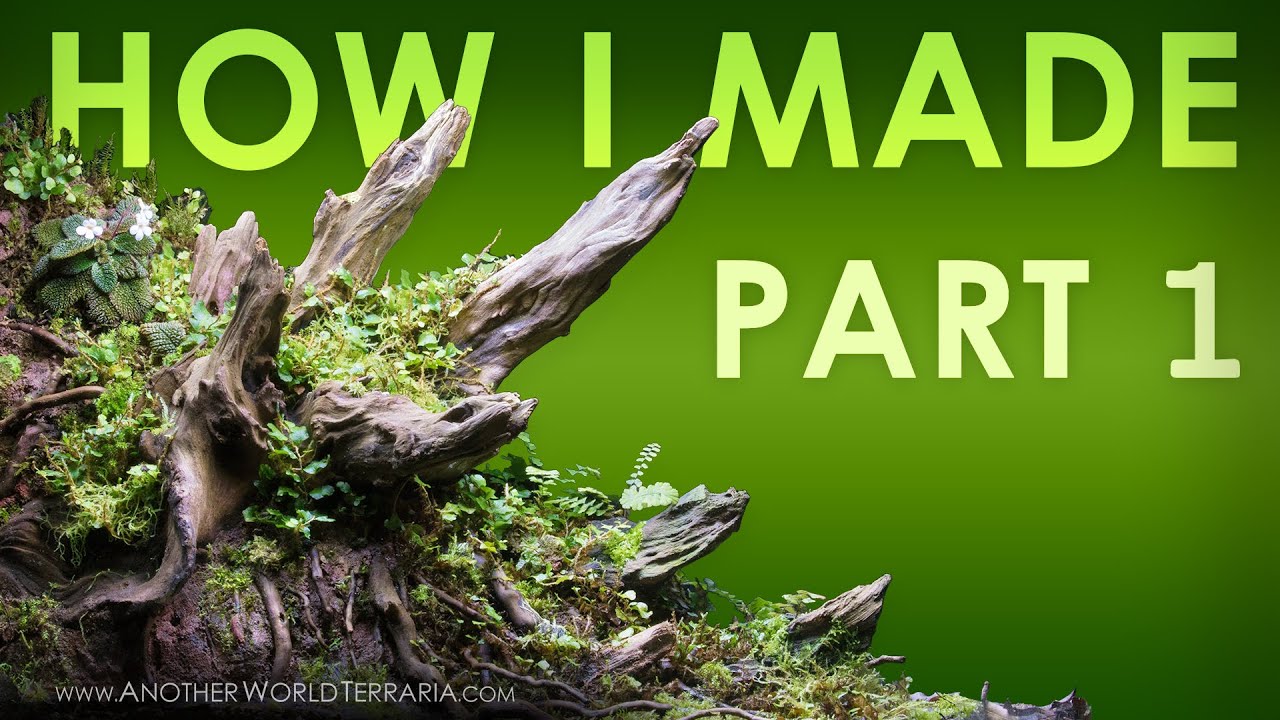 Crown Forest Terrarium Build Log Part 1 (Custom stump!)