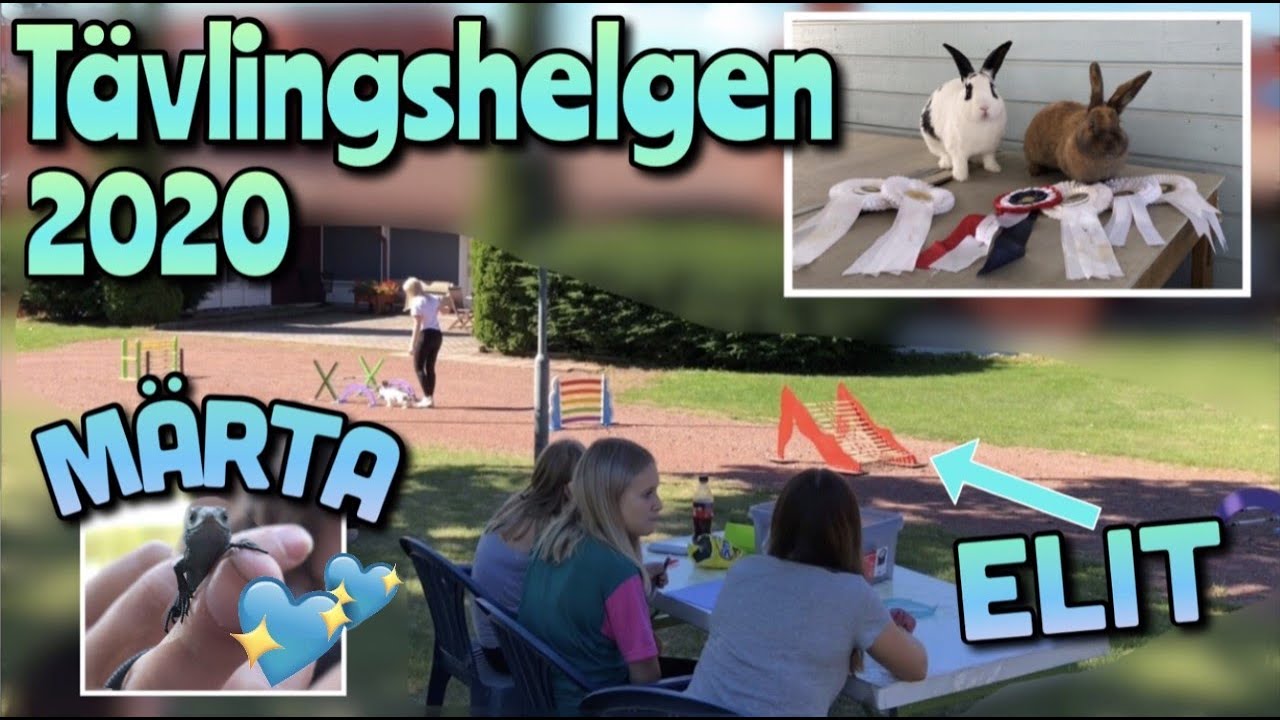 Tävlingshelgen 2020~ Vlogg