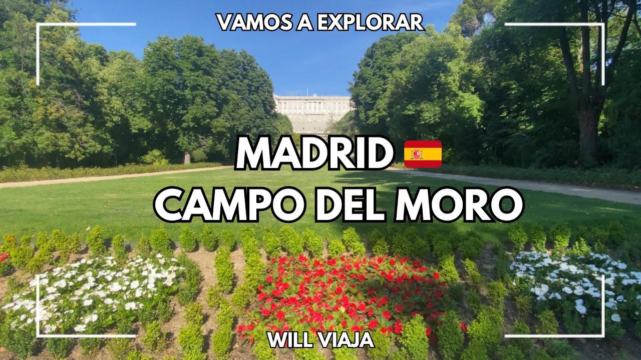 Top lugar secreto en Madrid: Un oasis natural en la ciudad 🇪🇸