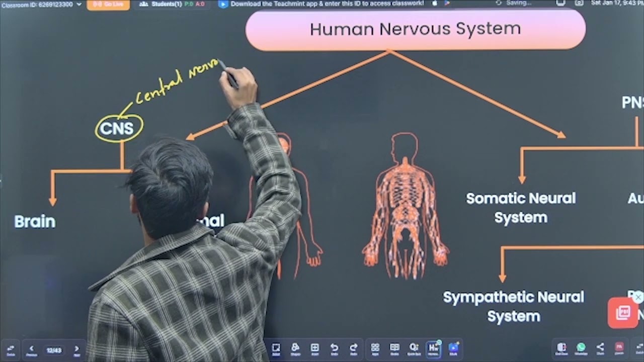 CONTROL  AND COORDINATION || NERVOUS SYSTEM || SCIENCE CLASS 10TH || BY ABHISHEK SIR