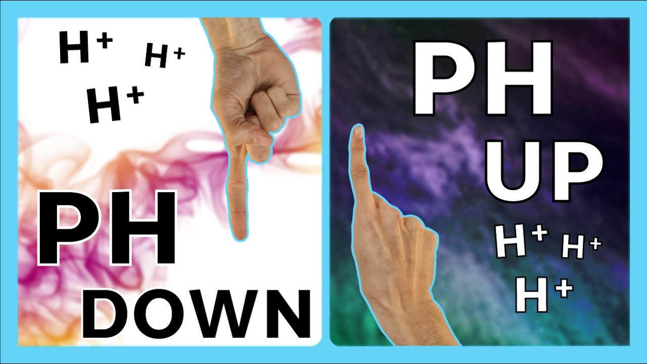 MEDIR y CAMBIAR pH 🌀 HIDROPON&Iacute;A - (Recomendaci&oacute;n de Productos + Tutorial de Uso) 😊
