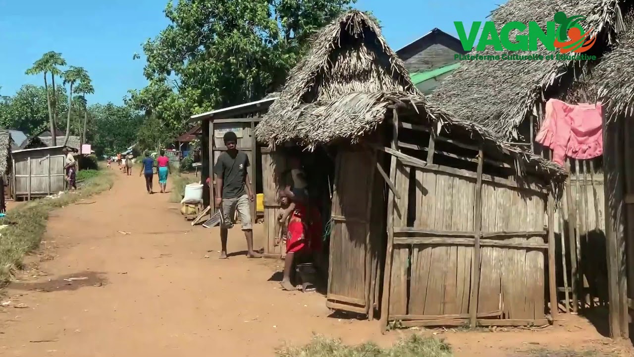 Shekba - Welcome to my town