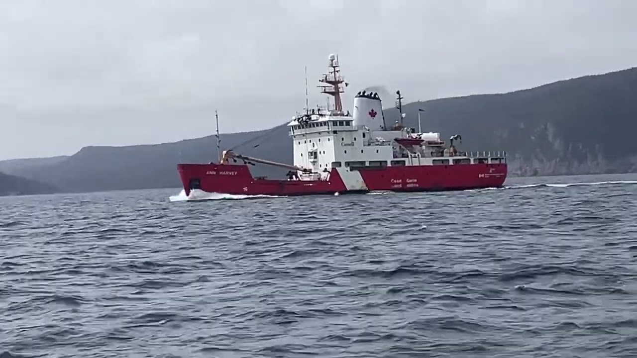 Steaming in St,John's Newfoundland Harbour