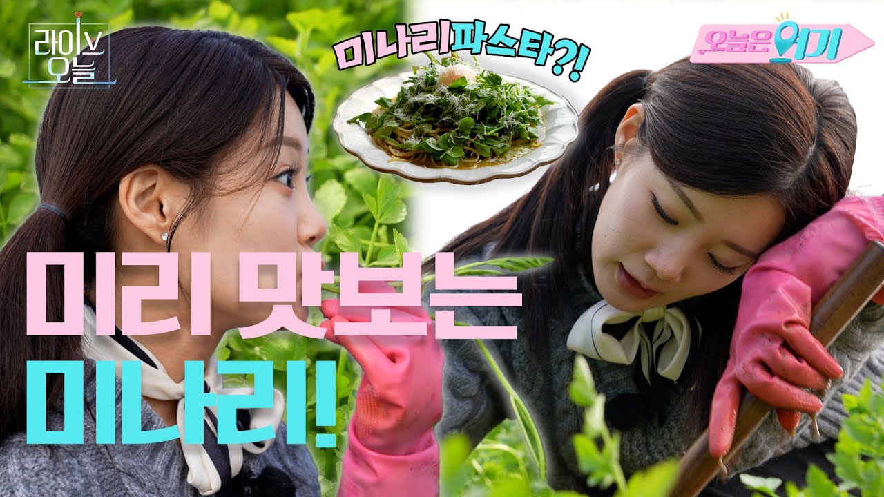 다가오는 봄의 맛! 미나리🌱  | 라이브오늘 오늘은 여기 🙋‍♀️  | 260202