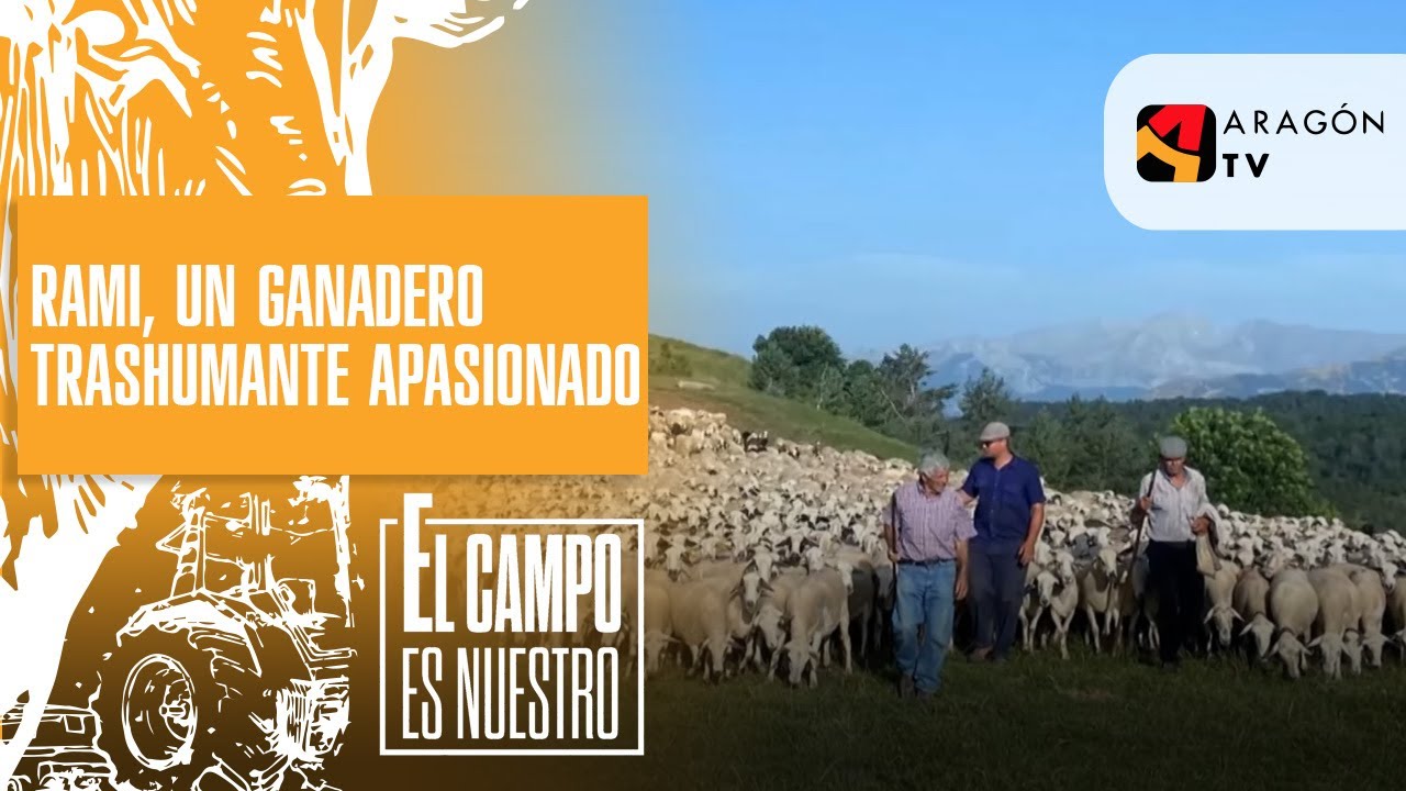 Un ganadero trashumante apasionado. Raúl Rami
