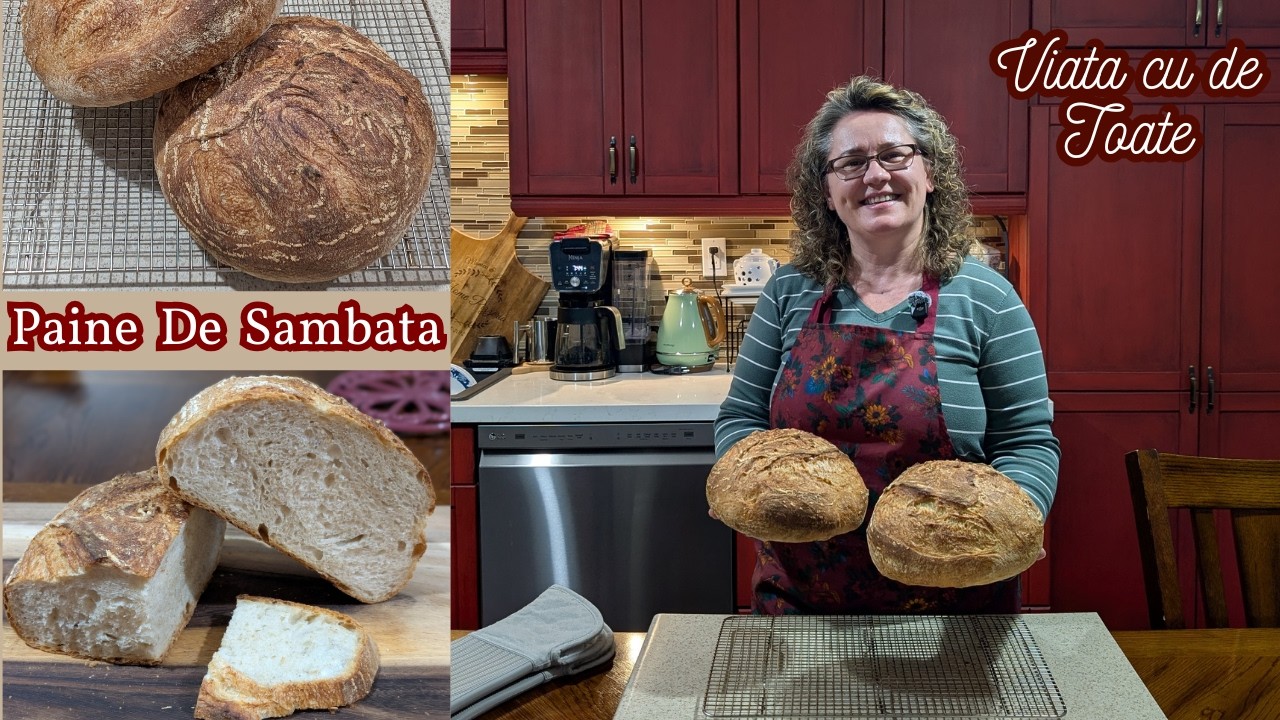 Paine Artizanala cu foarte putina drojdie | Proces ca la Maia, timp mai scurt (Less Yeast Bread)