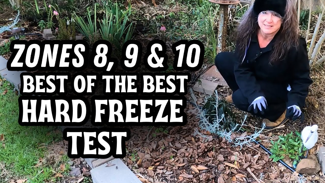 Hardiest Plants for Zones 8, 9, and 10: Freeze Test Results (part 1)