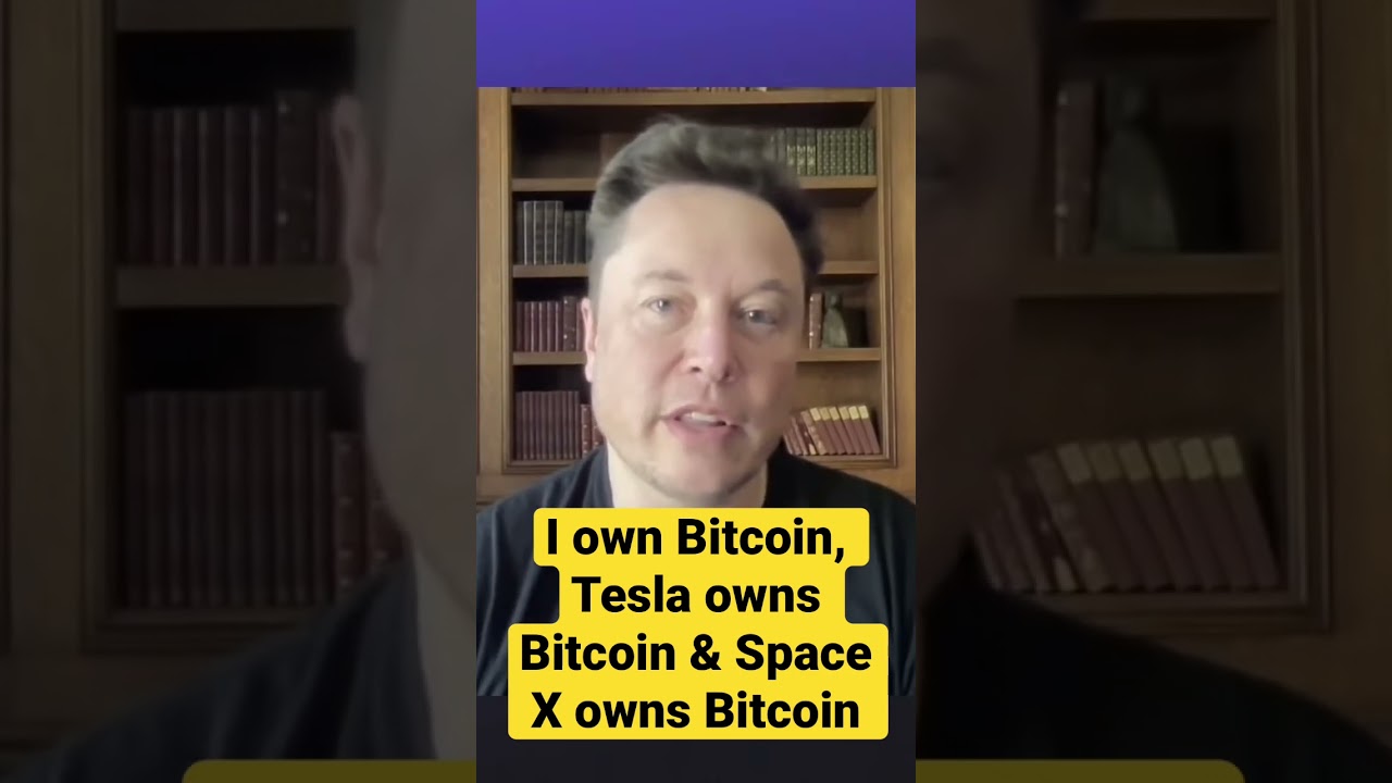 Elon Musk: &ldquo;I own Bitcoin, Tesla owns Bitcoin, Space X owns Bitcoin&rdquo;