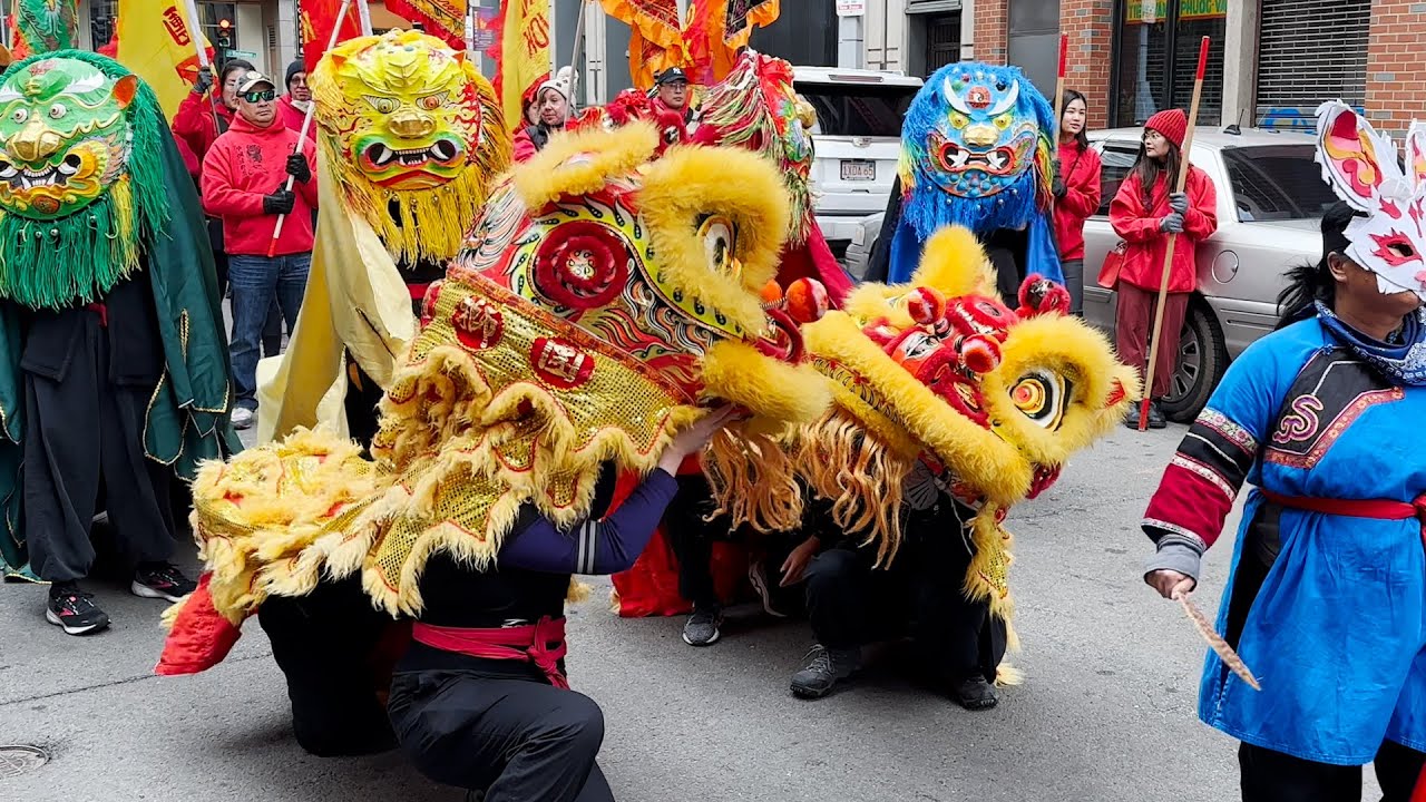 Chinese Lunar New Year Lion Dance / Dancing 2023 Boston múa lân sư tử 舞獅 舞狮 tarian singa barongsai