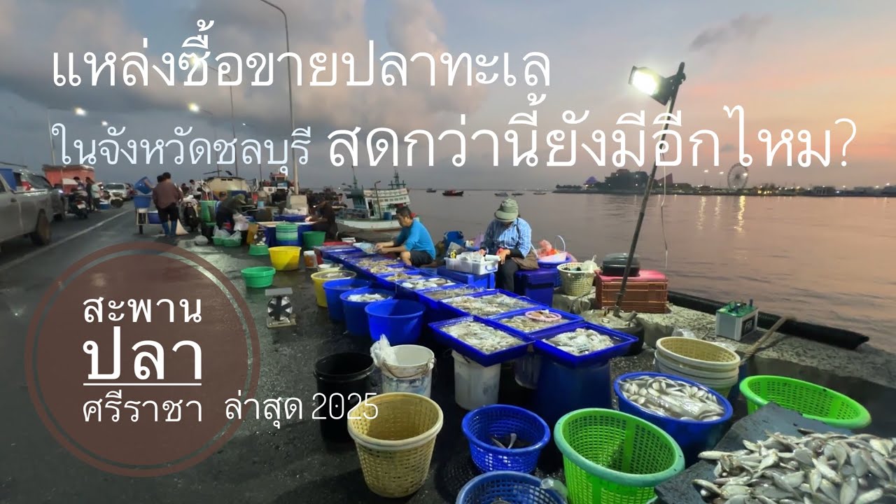สะพานปลาศรีราชาล่าสุด 2025