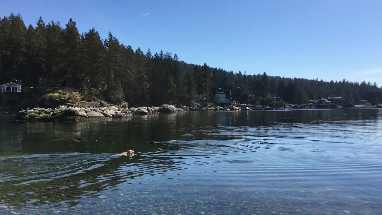Secret Cove, Sunshine Coast