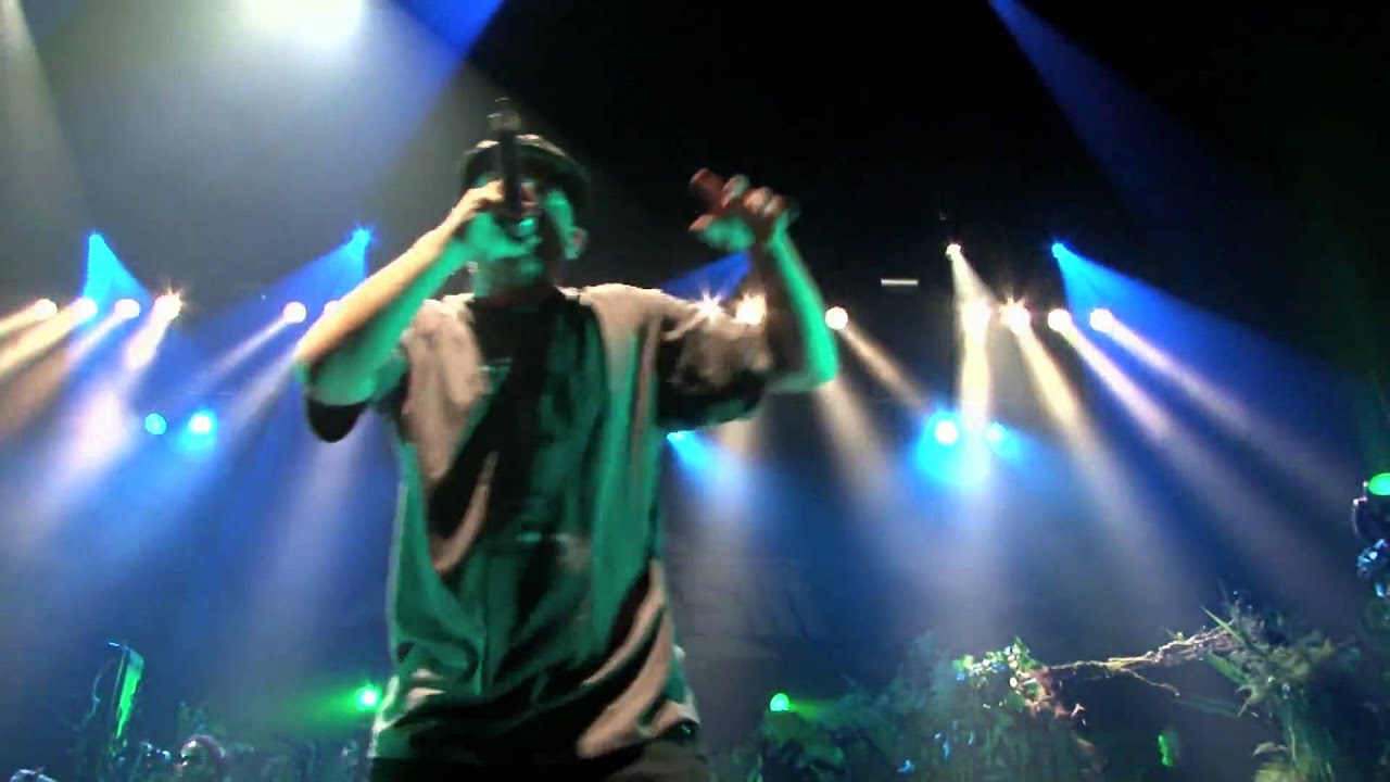 Assassin/Rockin'Squat - Shoota Babylone (Live Olympia 2009)