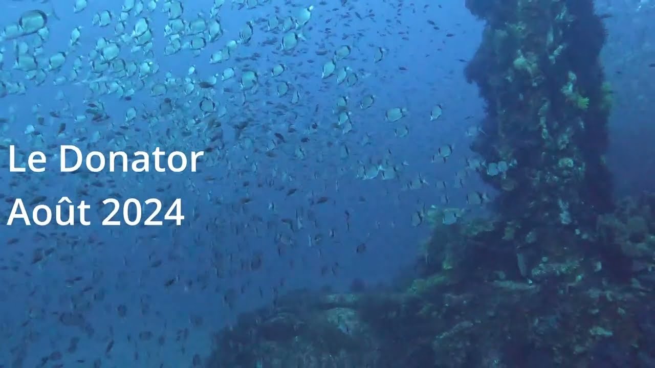 Epave du Donator et du Grec Août 2024