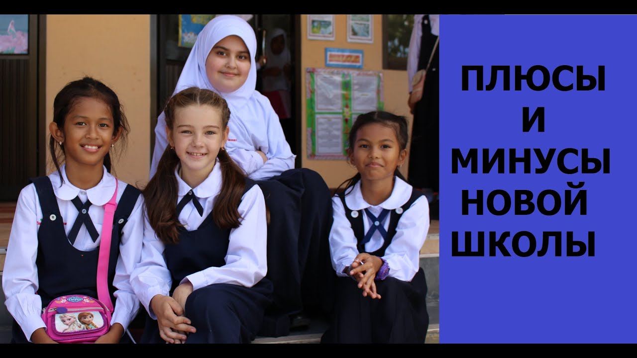 Плюсы и минусы новой школы