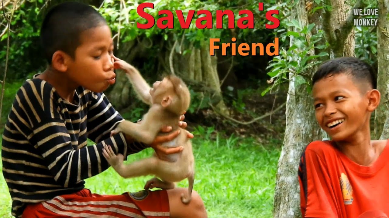 Wow...!! Very Suprise Abandoned Monkey Sovana is Not Alone Cuz Has Human Friends Come to Visit
