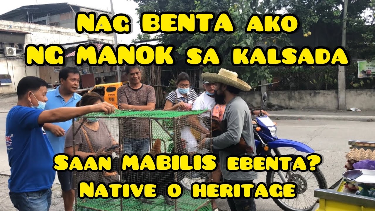 NAGBENTA AKO NG MANOK SA KALSADA | ANONG MABILIS EBENTA:  NATIVE O HERITAGE?