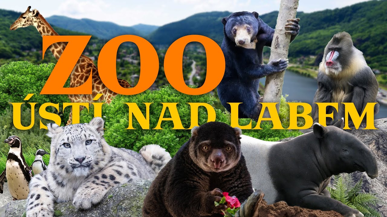 Ústí nad Labem Zoo - dormant potential by the River Elbe | Zoo Review