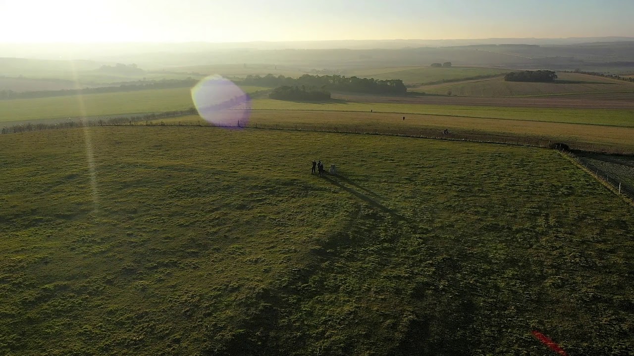 Roman Temple, Lowbury Hill