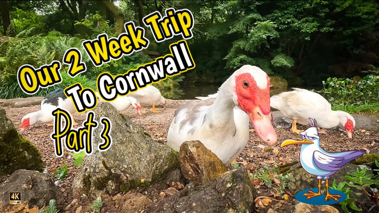 Our 2 Week Trip to Cornwall (Part 3)