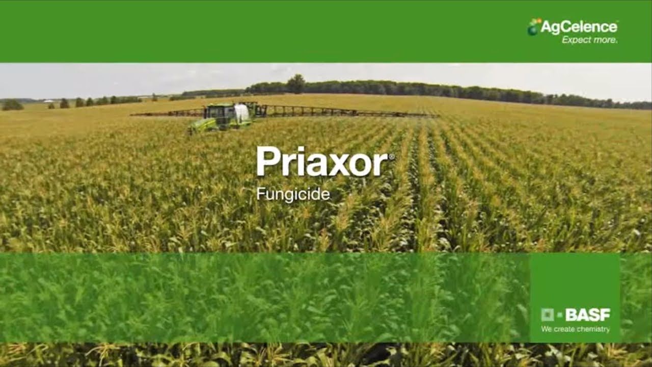 Ontario Corn and Soybean Growers – Priaxor Fungicide benefits | BASF