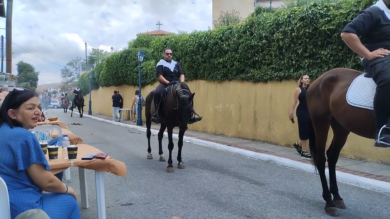15 / 8  / 2025 ΚΑΒΑΛΆΡΗΔΕΣ  ΣΙΆΤΙΣΤΑ 