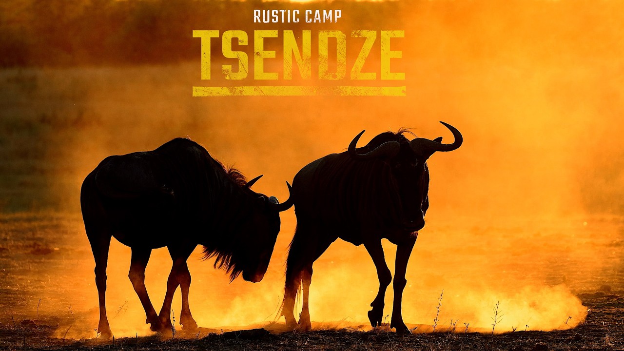 Kruger National Park | Three Nights of Wilderness at Tsendze Rustic Camp