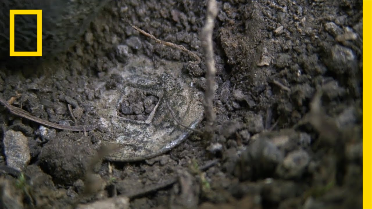 Chinese Coin | National Geographic