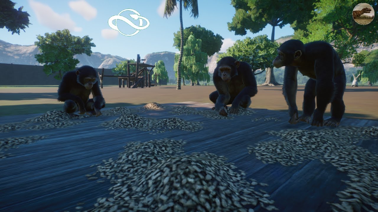 Western Chimpanzee Planet Zoo Gameplay Pc HD 1080p